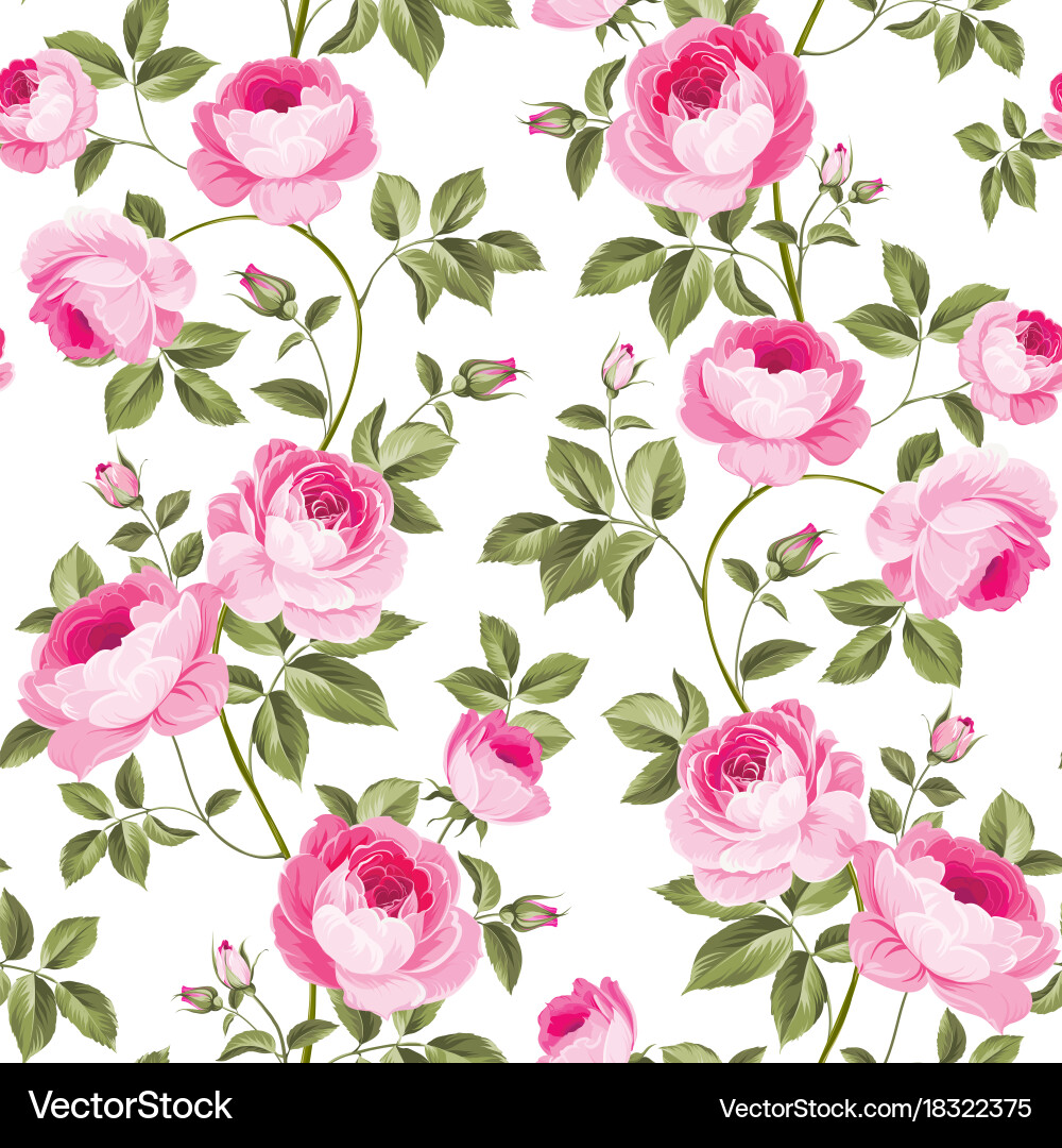 Luxurious rose wallpaper vector image