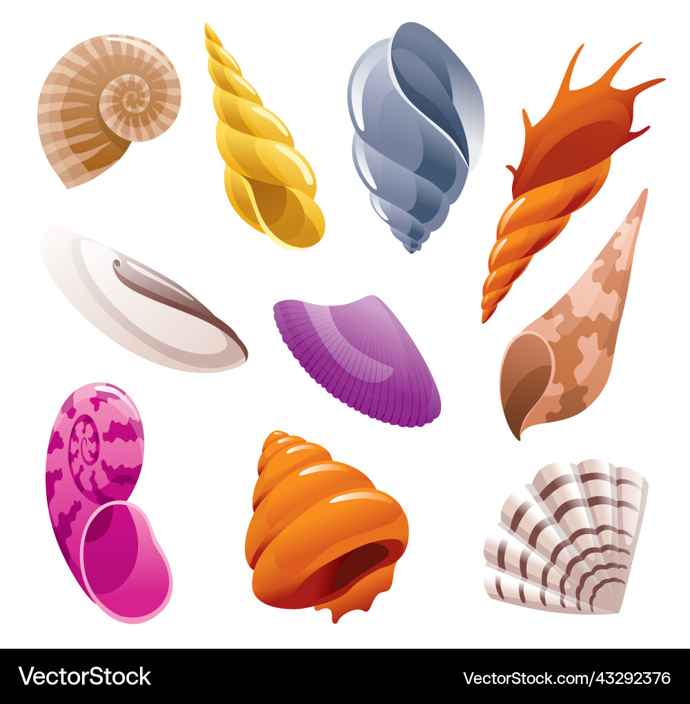 Set of sea shells colorful tropical shell Vector Image