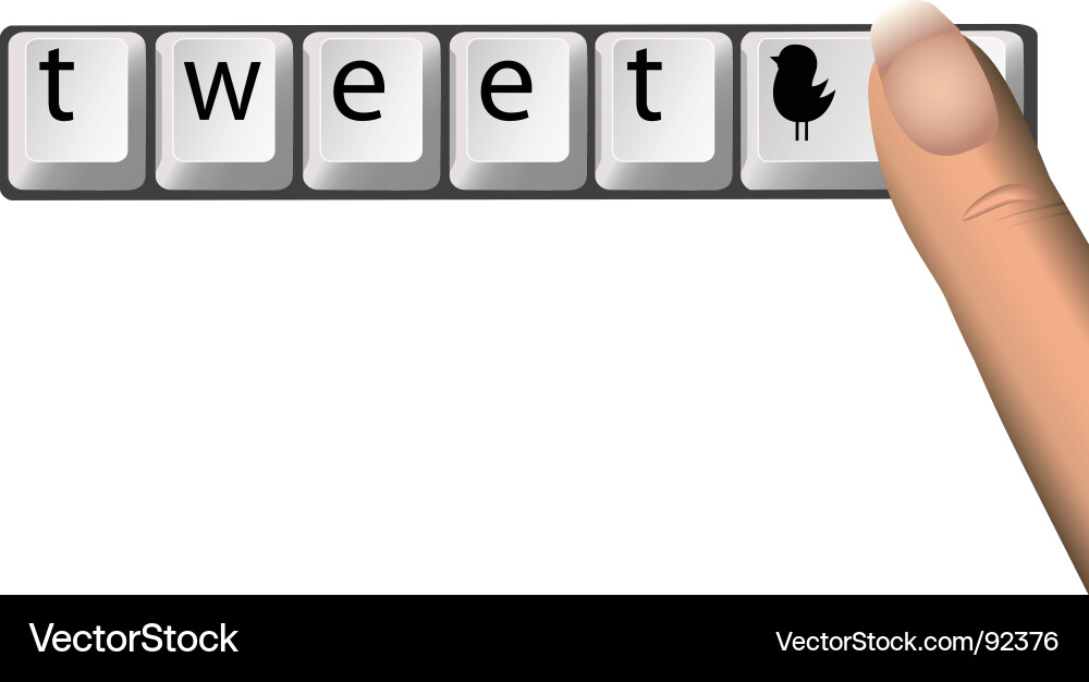 Twitter Keys Social Network Vector Image