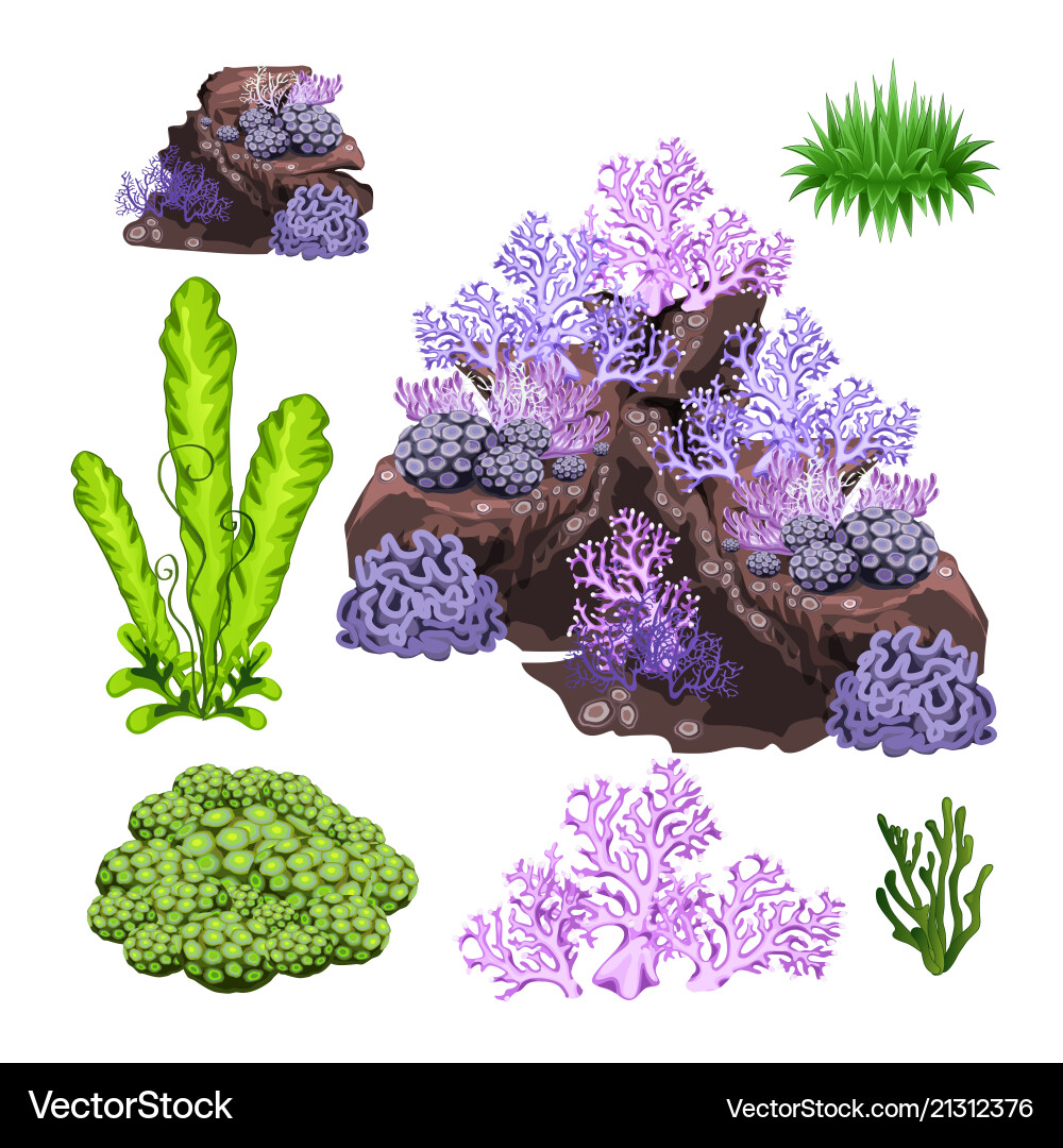 Underwater rock Vector Images \u0026 Graphics for Commercial Use | VectorStock, image size:1000x1080