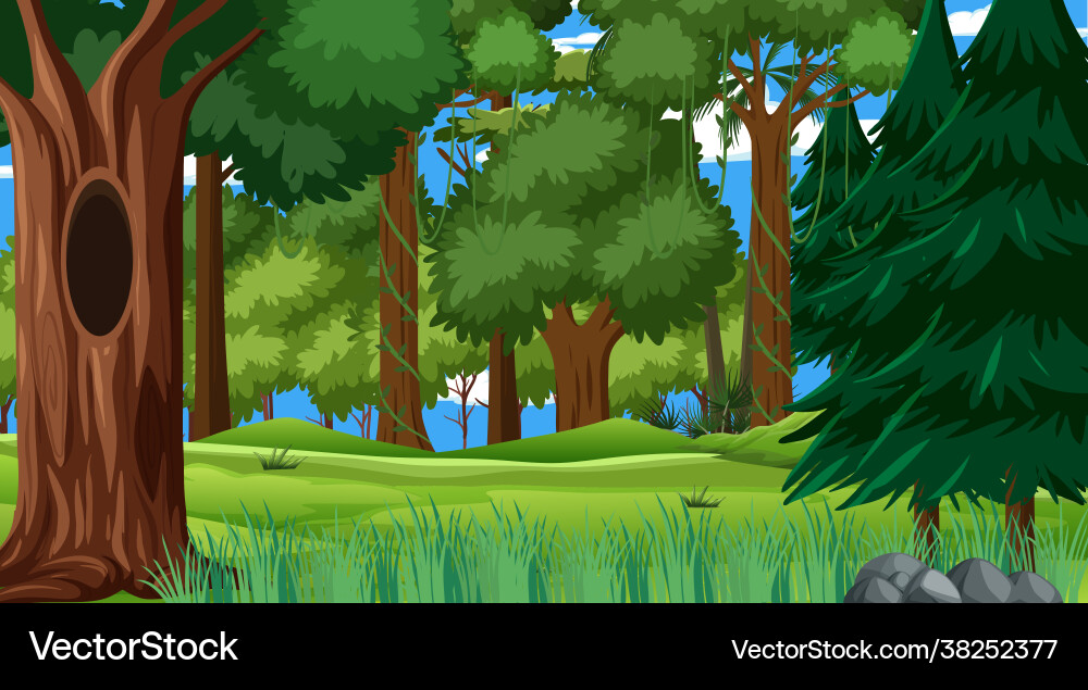Forest scene with various trees Forest scene with various trees Vector Image