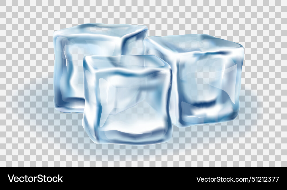 Ice cubes block concept on transparency vector image