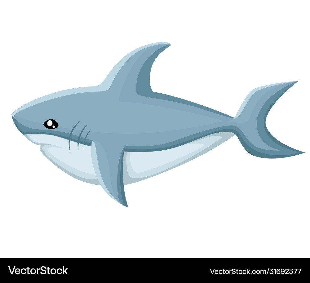 Shark web site page and mobile app design Shark web site page and mobile app design Vector Image
