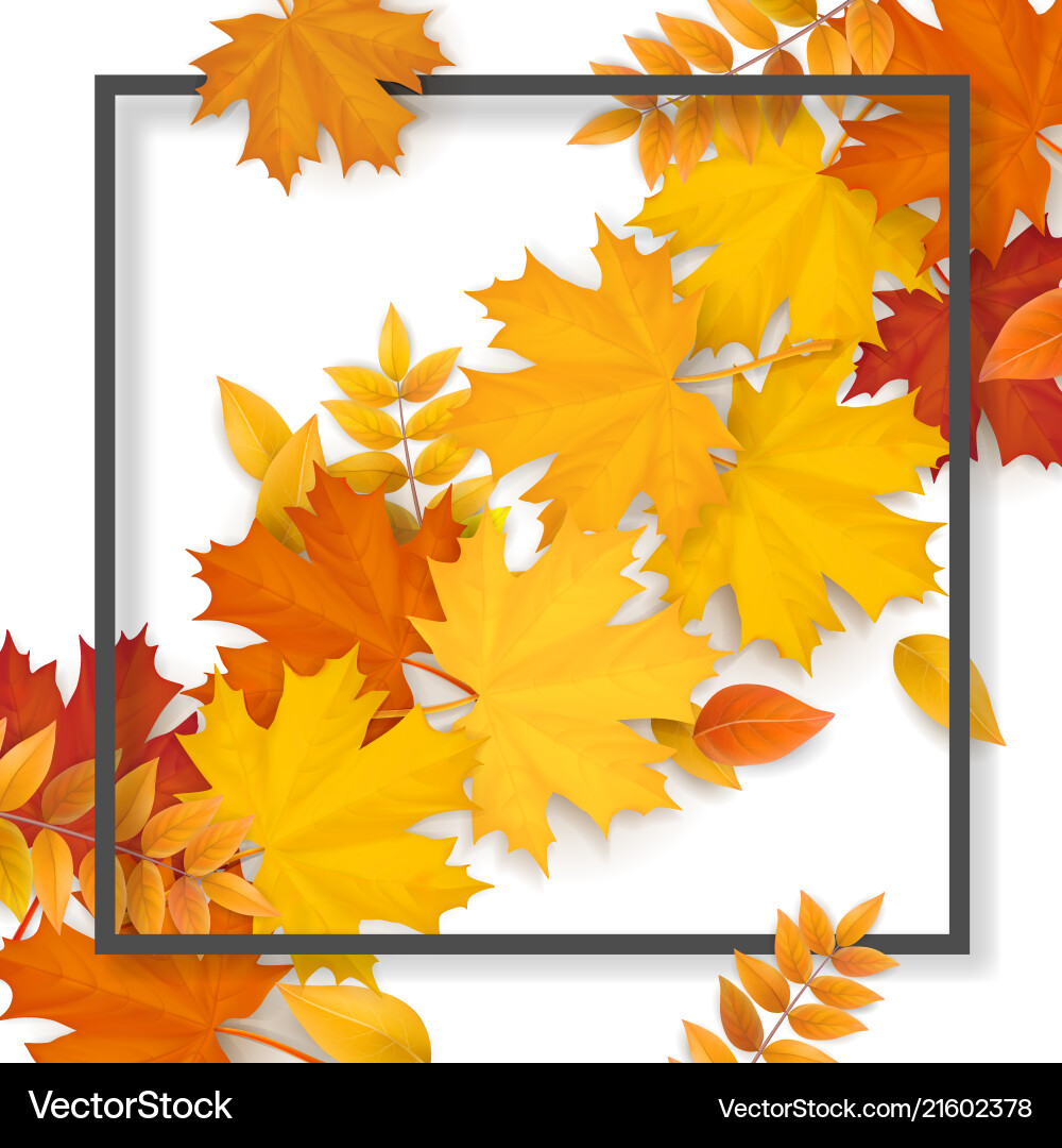 Autumn Leaves Frame Royalty Free Vector Image - VectorStock