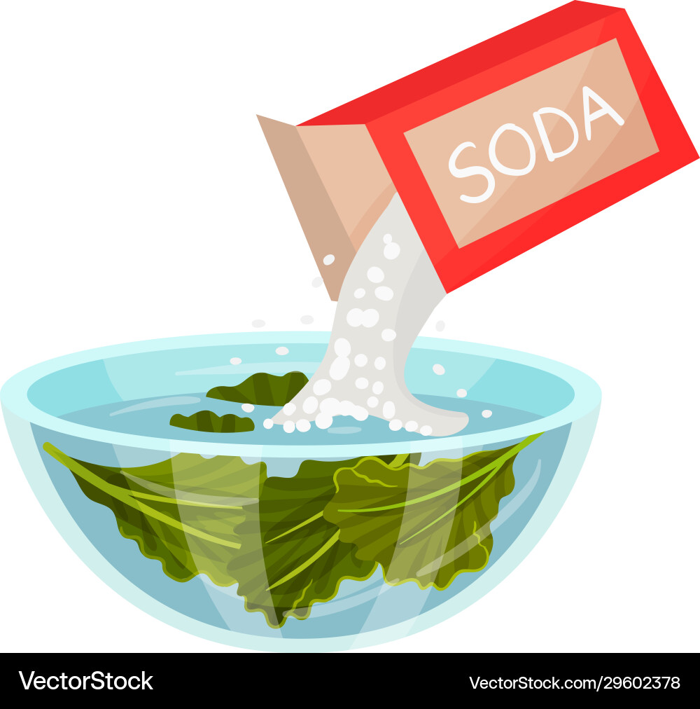 Lettuce cleaning and washing with soda water Lettuce cleaning and washing with soda water vector image
