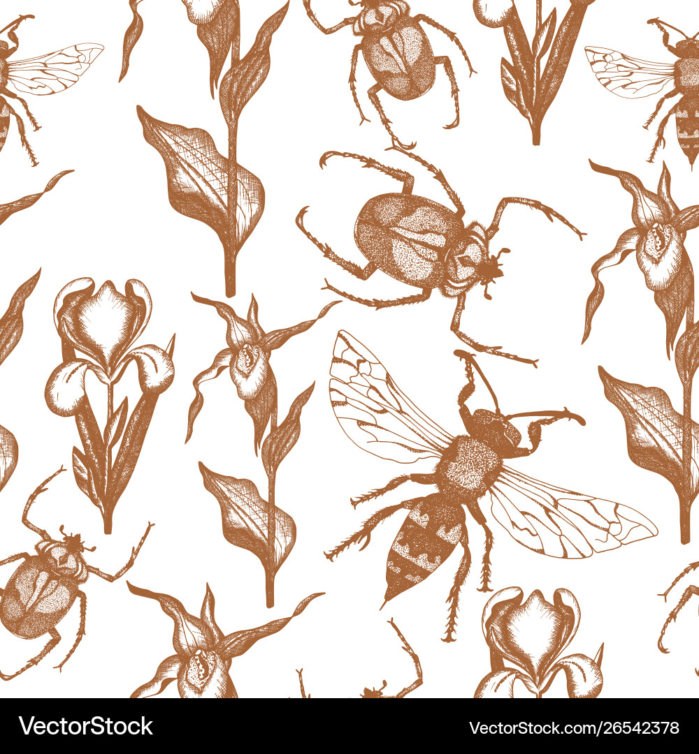 Seamless pattern with hand drawn plant Vector Image
