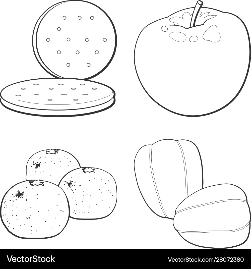Adobe r version 50 level 2 emulation Adobe r version 50 level 2 emulation Vector Image