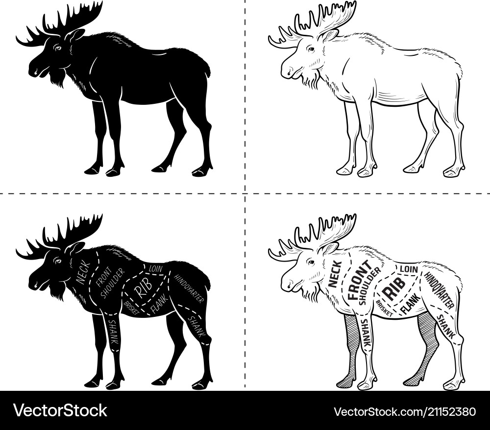 Cut of elk set poster butcher diagram - desert Cut of elk set poster butcher diagram - desert vector image