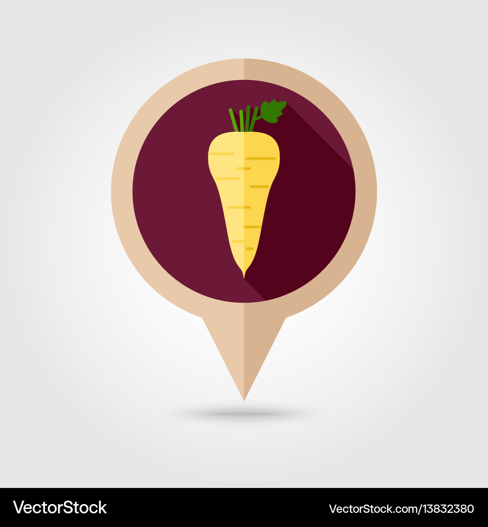 Parsnip root flat pin map icon vegetable vector image