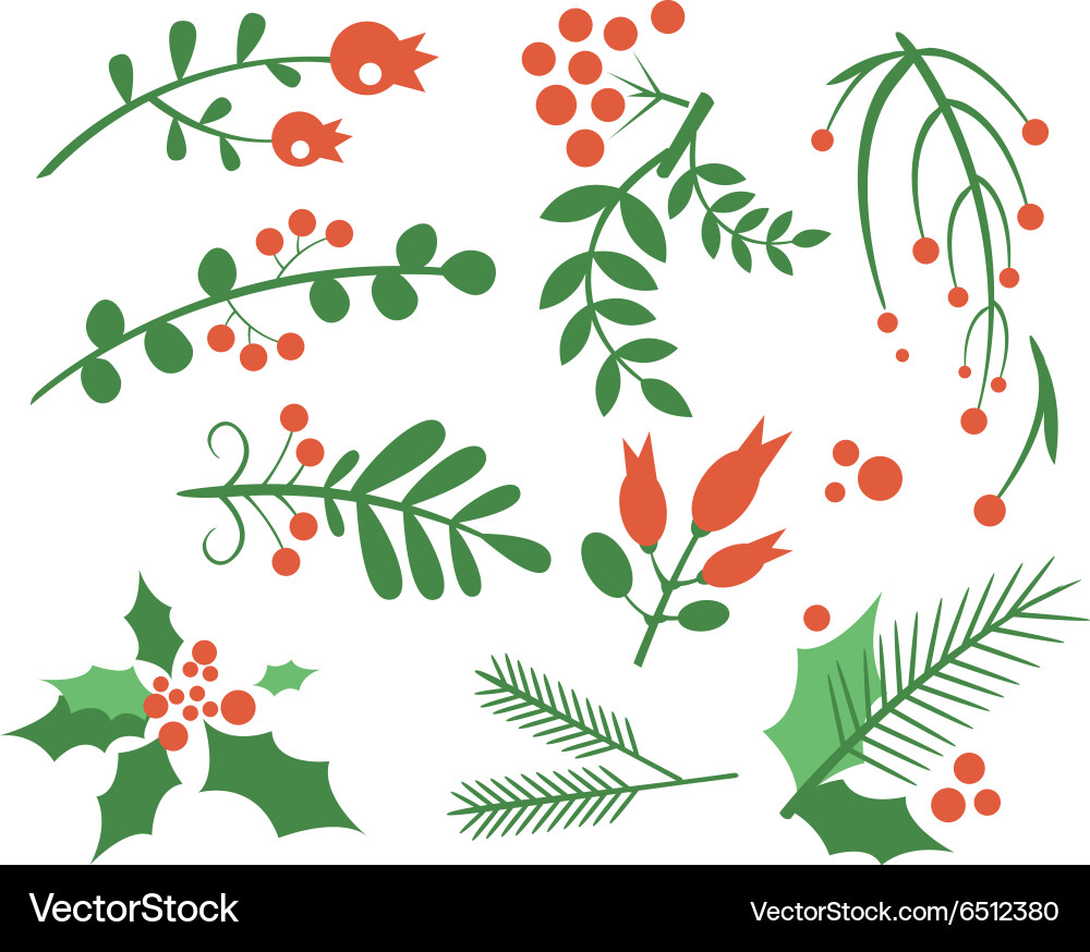 Red Berries and Winter Branches Vector Image