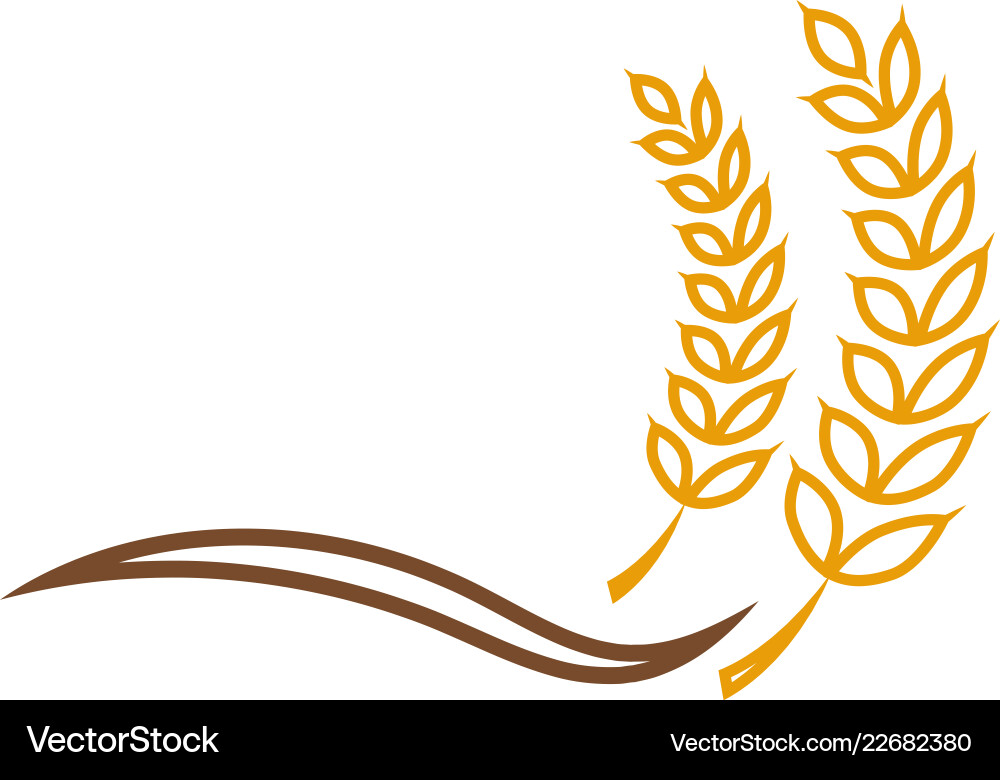 Weizenkorn Landwirtschaft Grafikdesign Vorlage Weizenkorn Landwirtschaft Grafikdesign Vorlage vektorbild