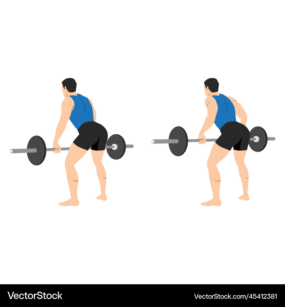Man doing bent over barbell rows exercise Vector Image