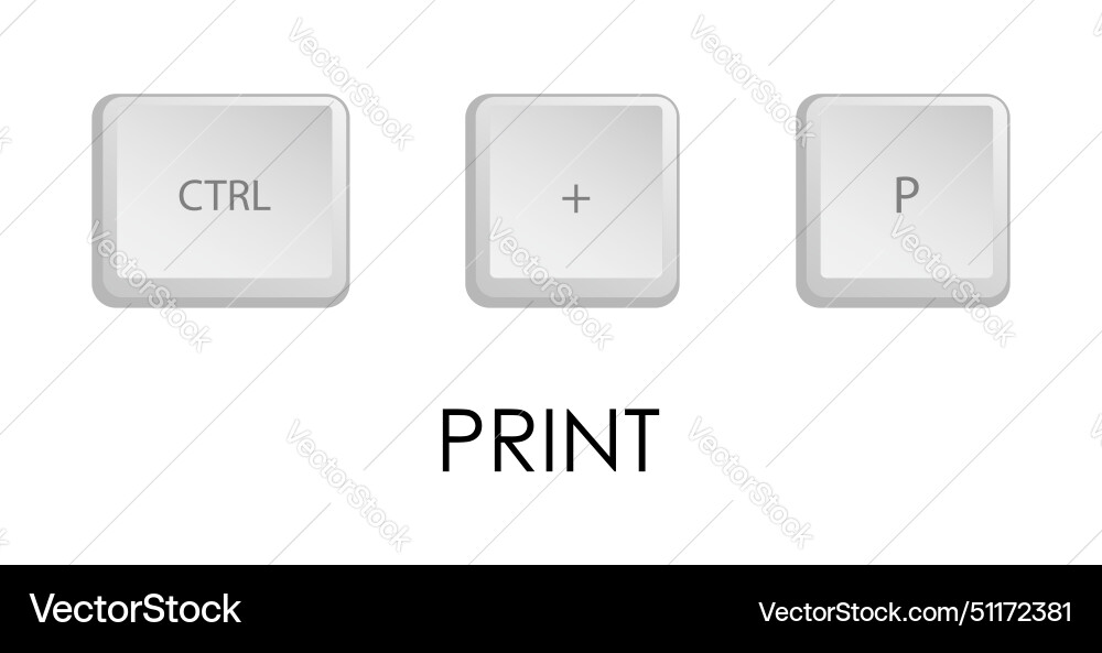 Print key combination keyboard shortcut Print key combination keyboard shortcut vector image