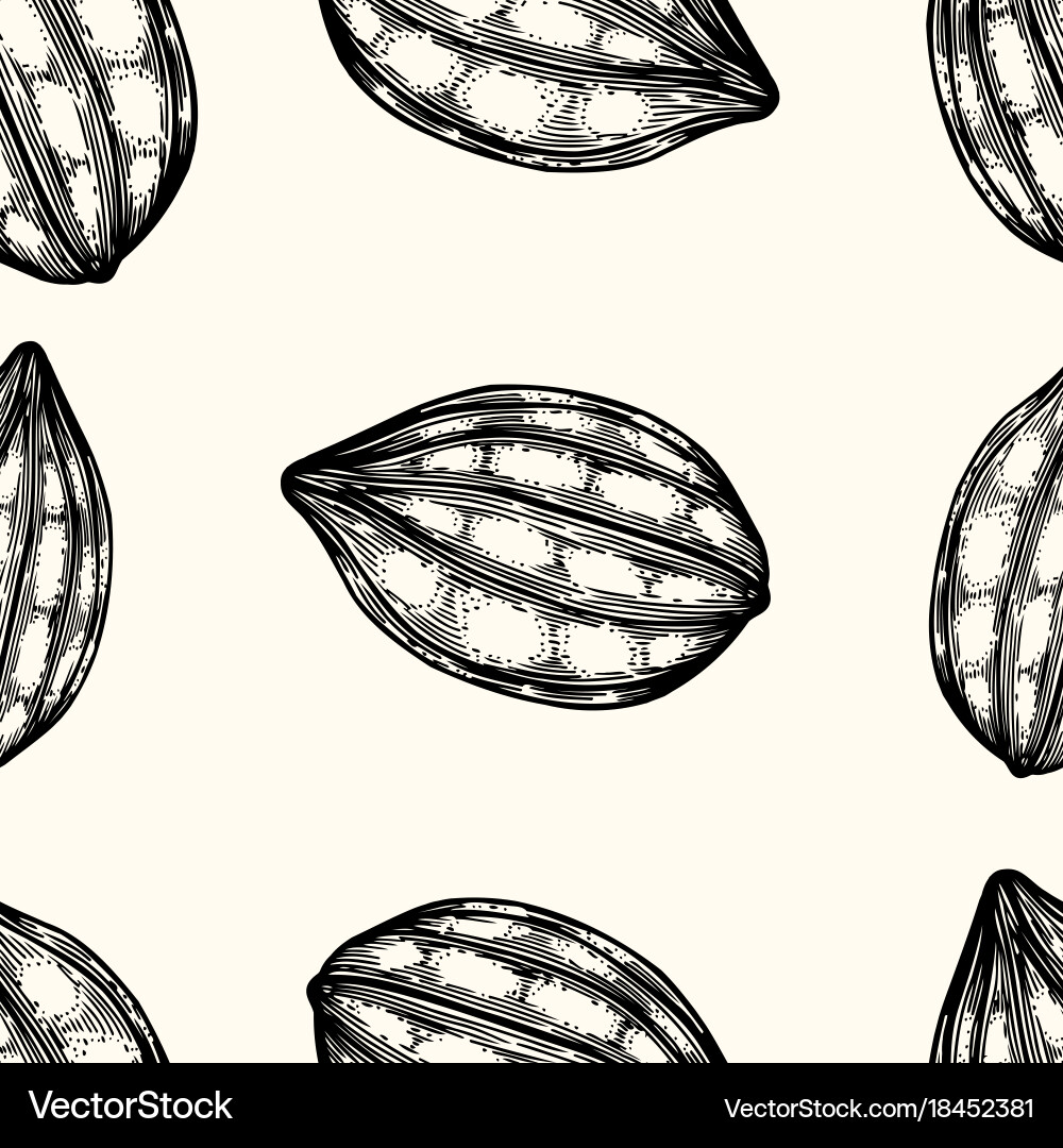 Seamless pattern of cocoa beans vector image