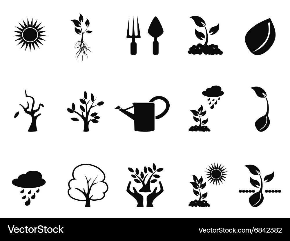 Tree Sprout Icon Set - Growth & Roots Vector Image