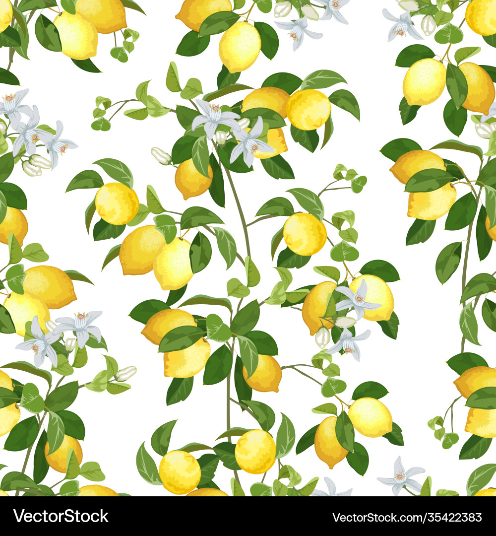 Lemon Branch Pattern with Flowers Vector Image