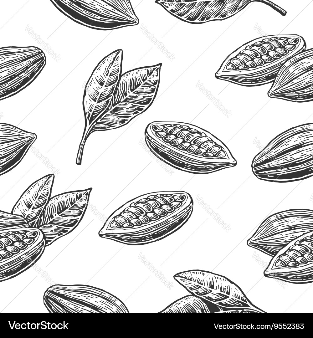 Seamless pattern with leaves and fruits of cocoa vector image