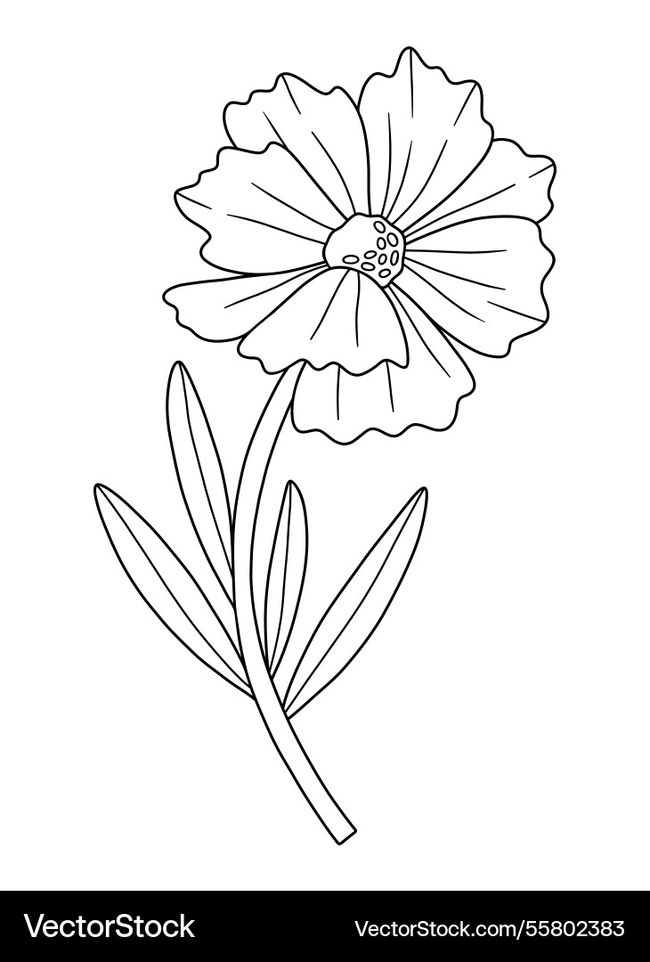 Wildflower in line art style texture Wildflower in line art style texture vector image