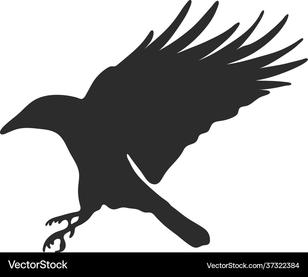 Black Crow Silhouette Vector Image