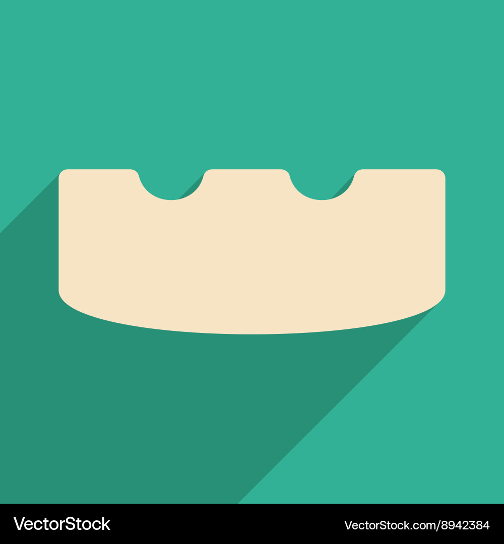 Flat with shadow icon and mobile application Vector Image