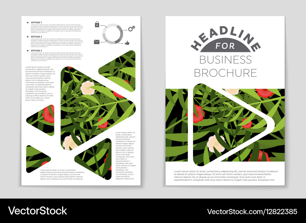 Abstract layout background set for art Vector Image