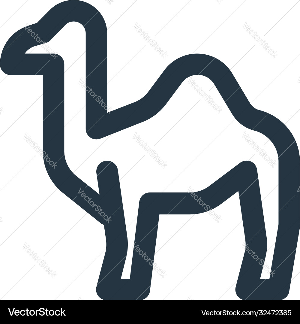 Camel icon editable stroke linear Camel icon editable stroke linear Vector Image