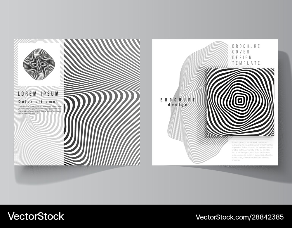 Minimal layout two square format Minimal layout two square format vector image