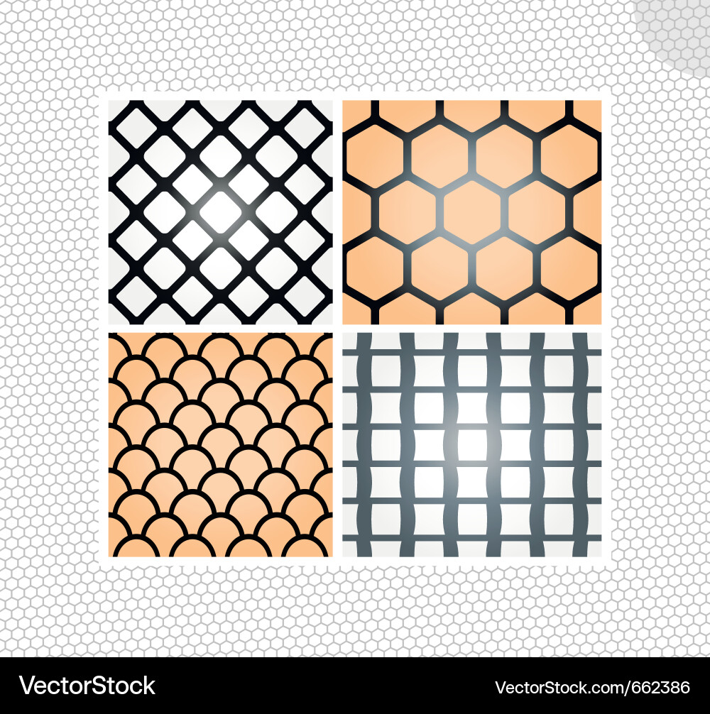 Lace Seamless Patterns Collection Vector Image