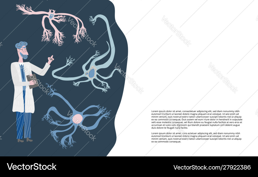 Neuron cells simple design Vector Image