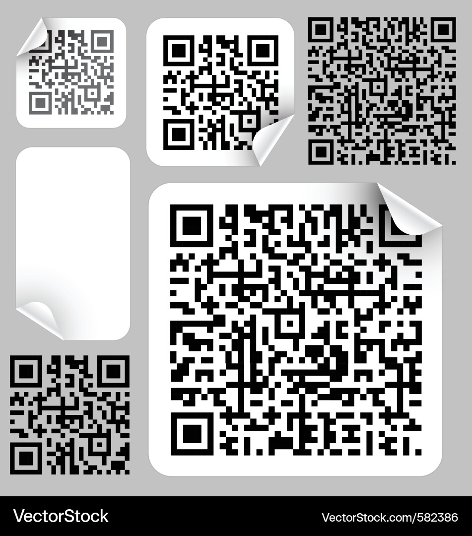 QR Code Image vector image