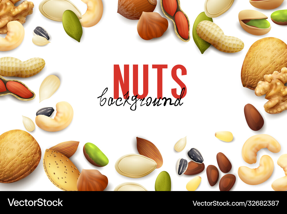 Assorted Nuts Background vector image