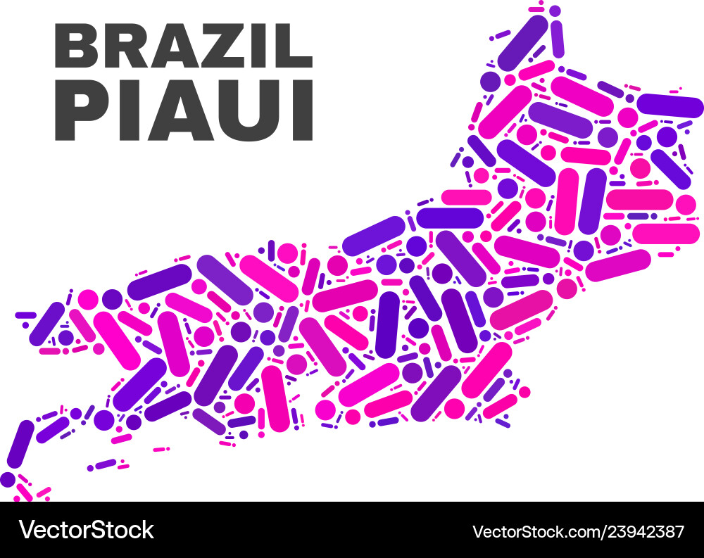 Mosaic piaui state map of dots and lines Mosaic piaui state map of dots and lines vector image