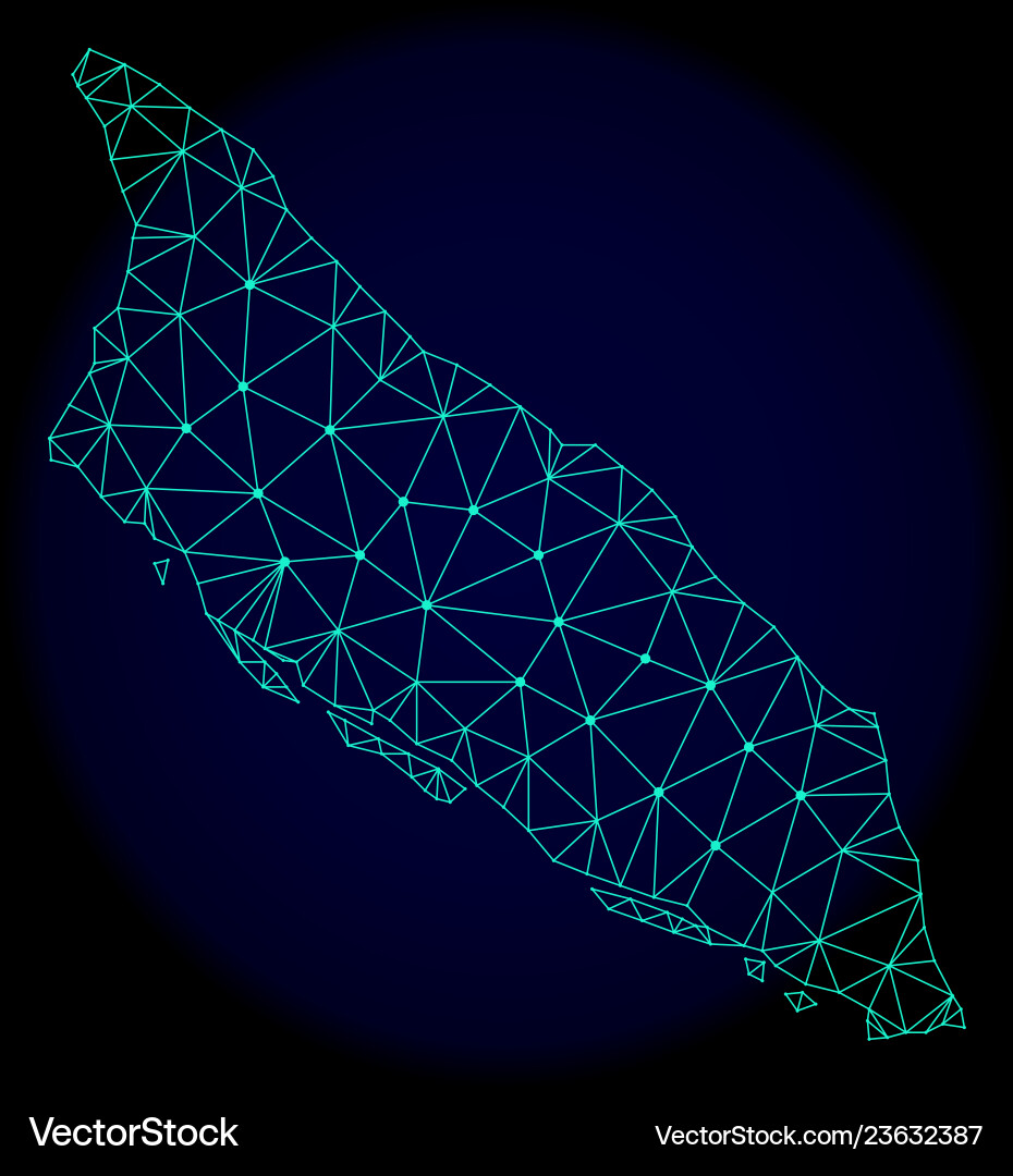 Polygonal 2d mesh abstract map of aruba Polygonal 2d mesh abstract map of aruba vector image