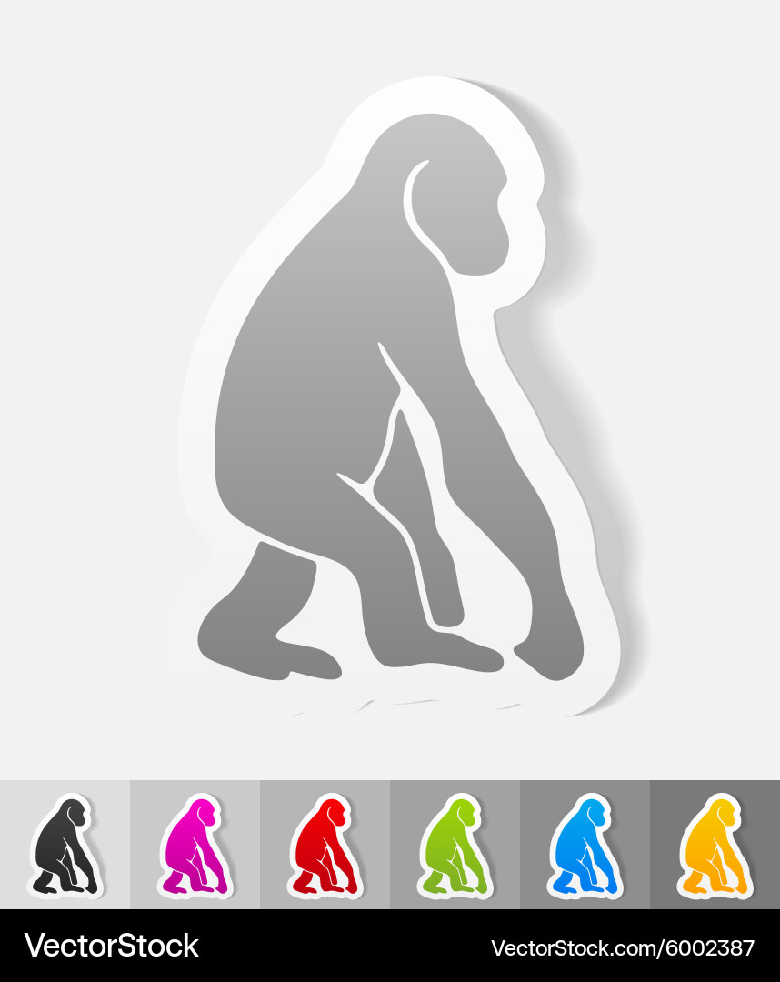 Realistic design element monkey vector image