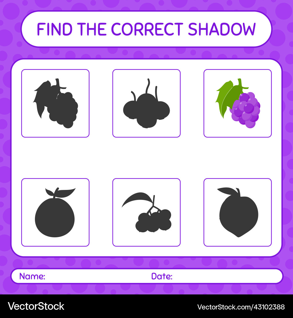 Find the correct shadows game with grape Find the correct shadows game with grape vector image