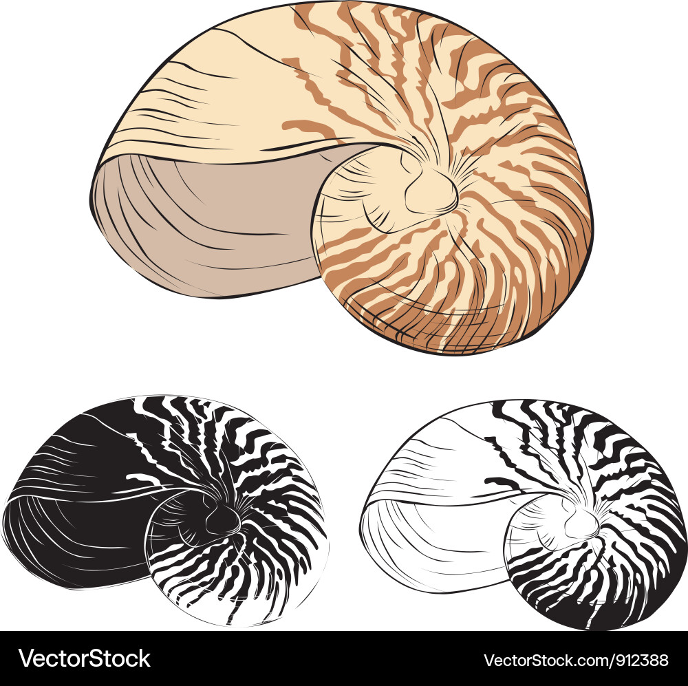 Oceanic isolation shell vector image