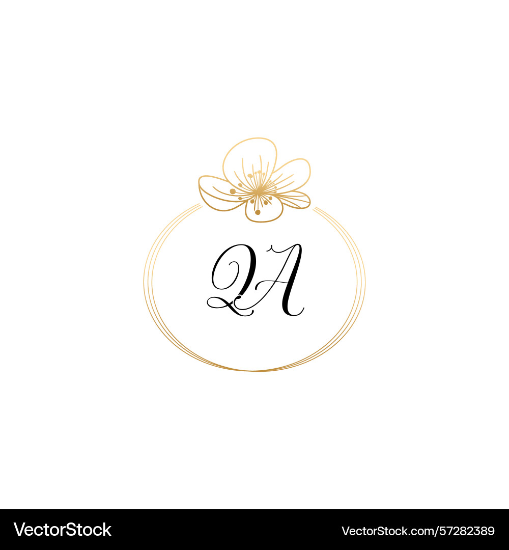 Botanical monogram logos with initial qa Botanical monogram logos with initial qa vector image