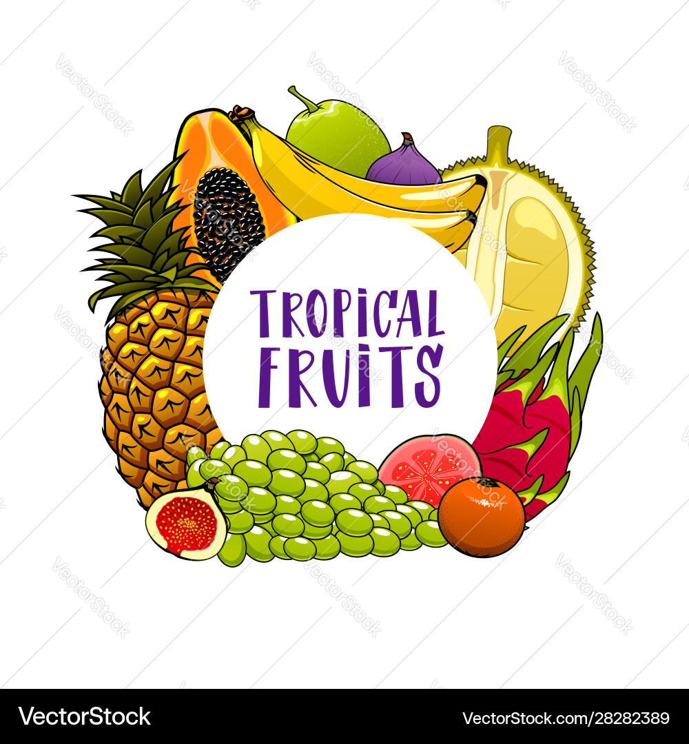 Exotic fruits frame banana papaya grapes guava Exotic fruits frame banana papaya grapes guava vector image