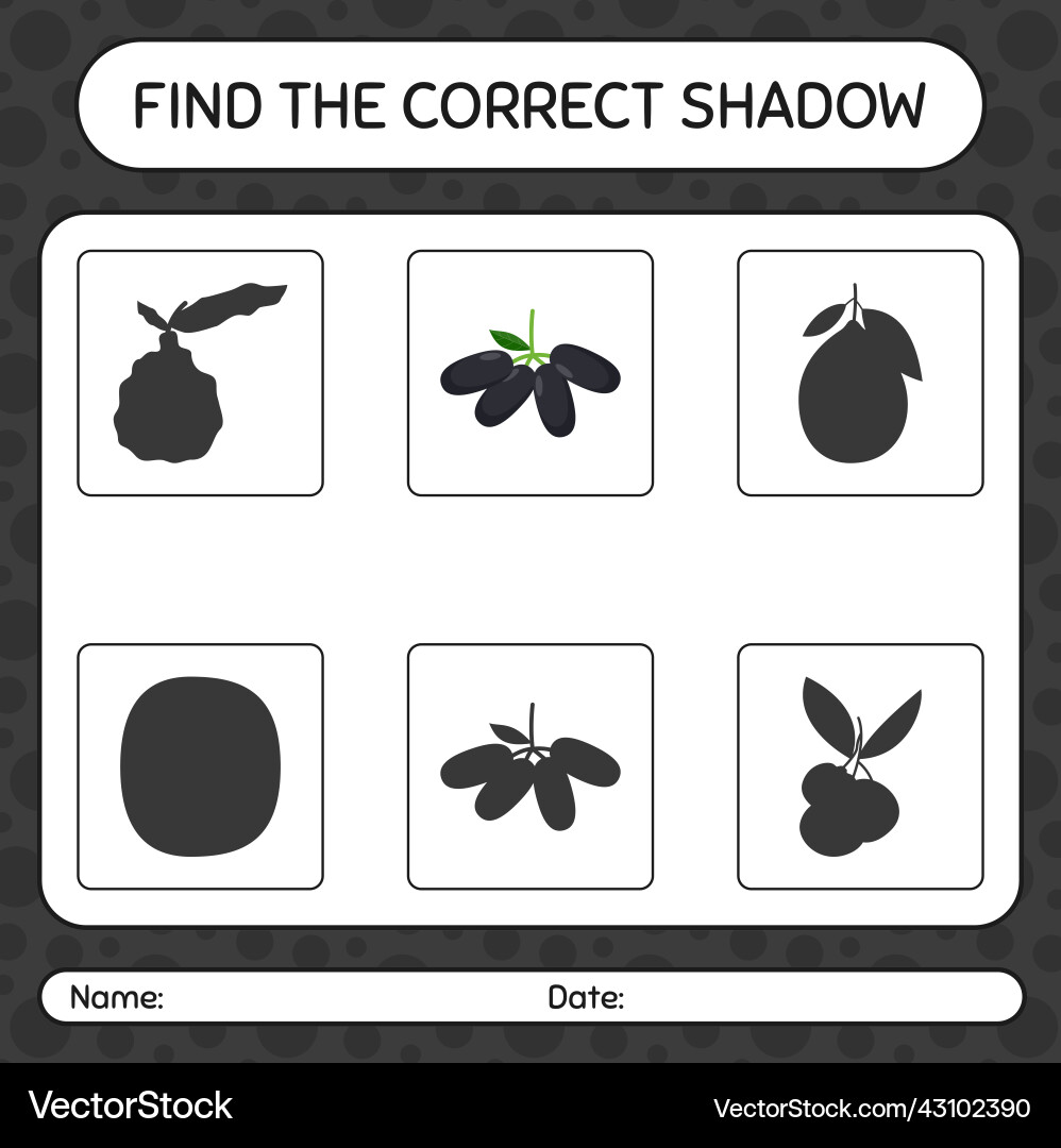 Find the correct shadows game with jambolan Find the correct shadows game with jambolan vector image