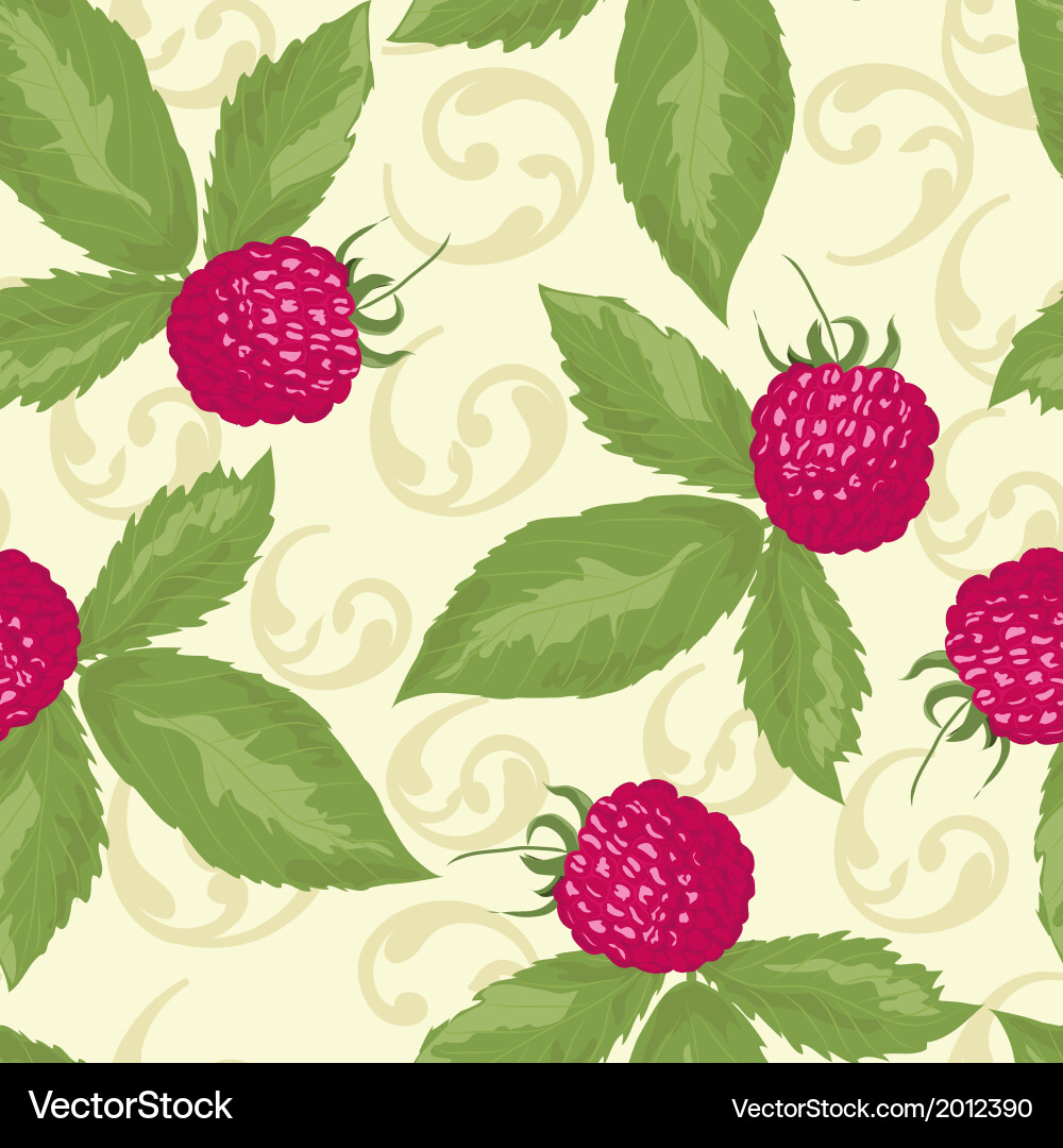 Raspberry Seamless Pattern vector image