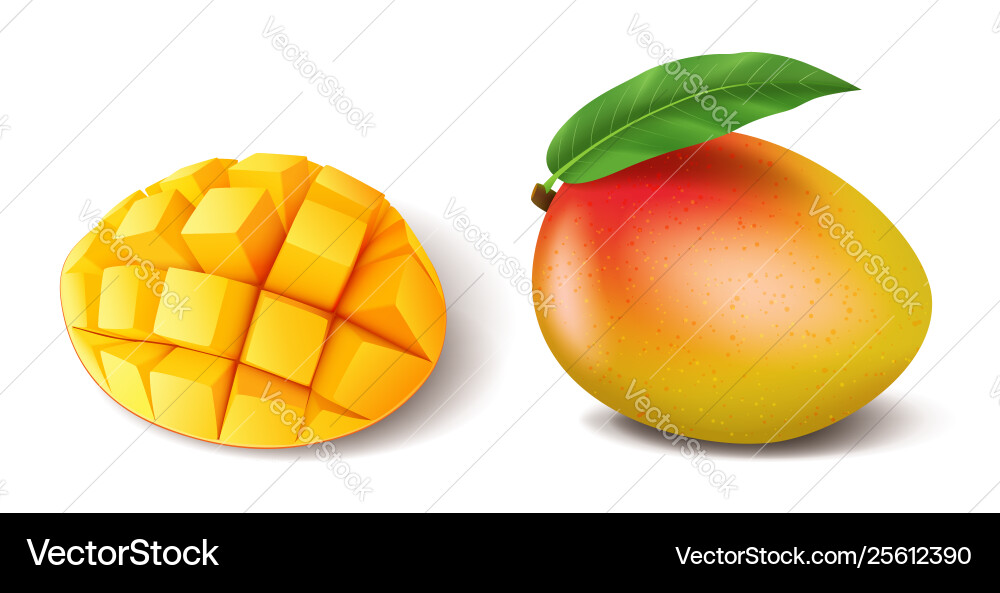 Ripe Mango Fruit with Leaf Slice Royalty Free Vector Image