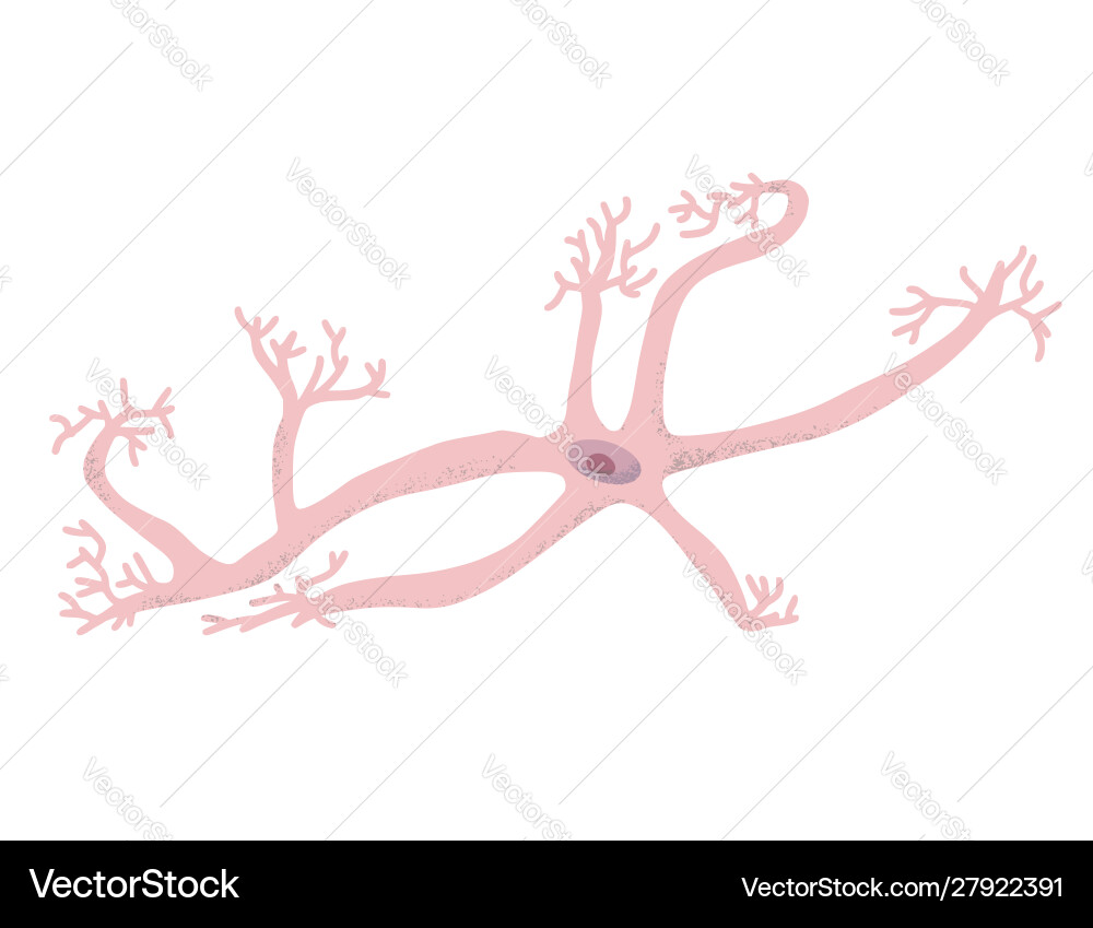 Neuron cells simple design Neuron cells simple design vector image
