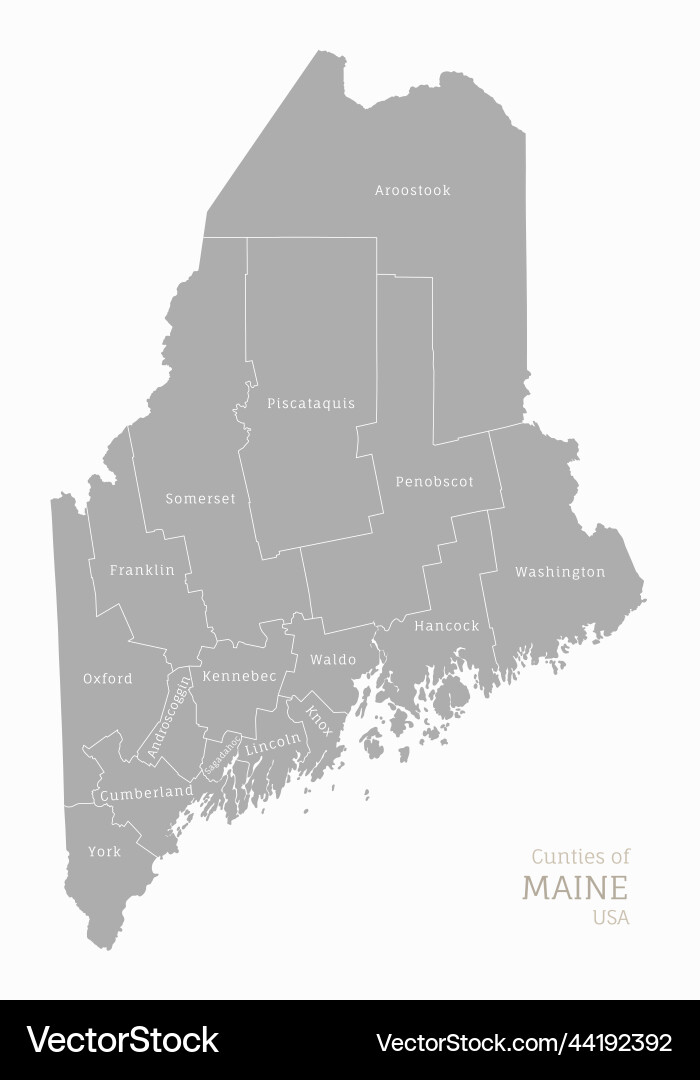 Highly detailed gray map of maine us state Highly detailed gray map of maine us state vector image