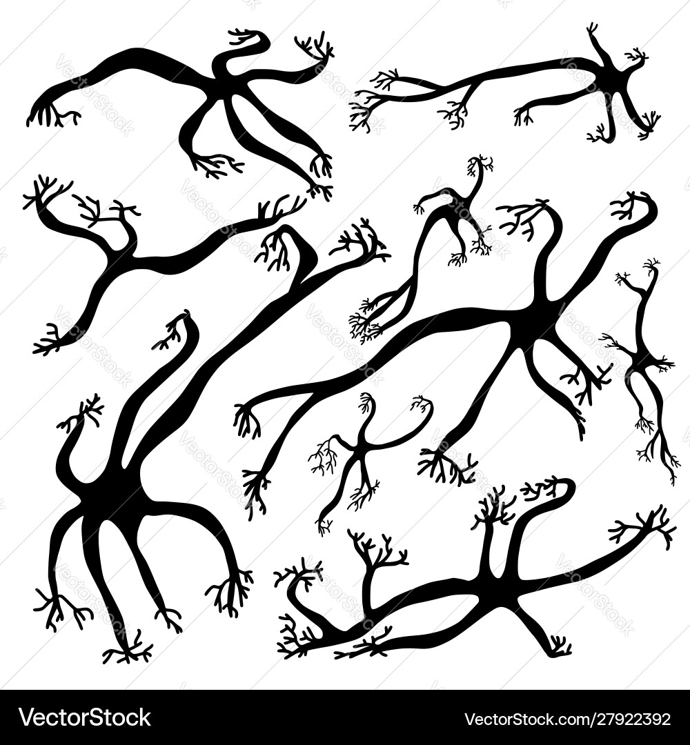 Neuron cells simple design Neuron cells simple design vector image