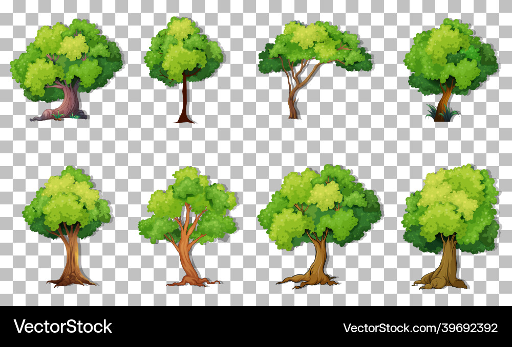 Set of variety trees on transparent background Vector Image