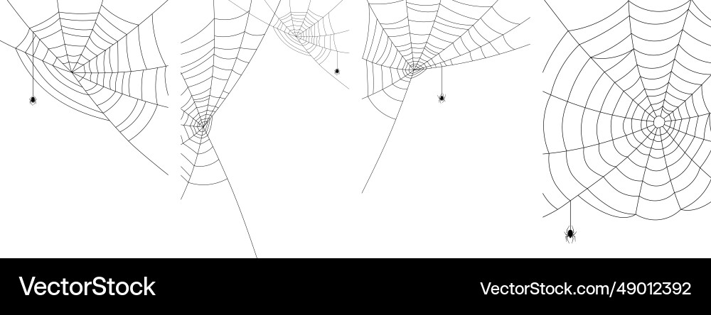 Spiders and web background with space Spiders and web background with space Vector Image