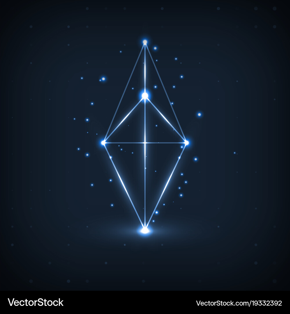 Wireframe polygonal elements Vector Image