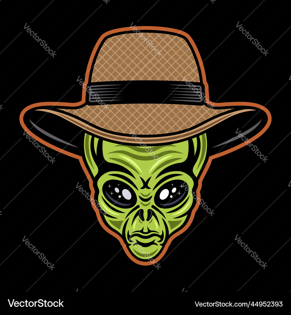 Alien Kopf in Stroh Farmer Hut bunt Alien Kopf in Stroh Farmer Hut bunt vektorbild