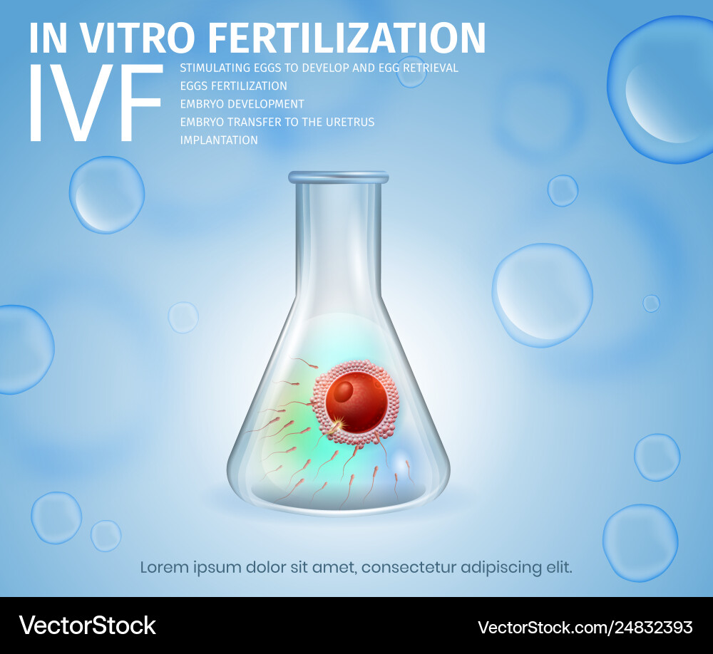 Female egg and sperm union inside glass beaker Female egg and sperm union inside glass beaker vector image