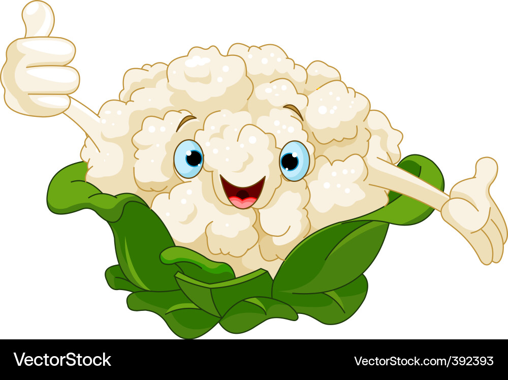 Fröhlicher Blumenkohl Charakter Vektorbild
